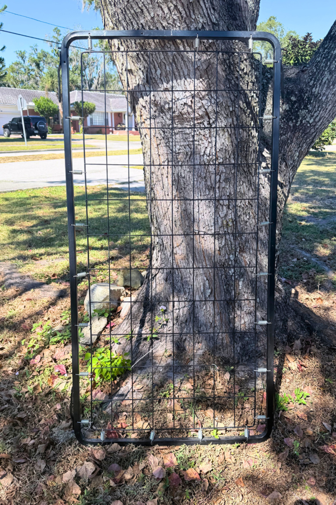 Vintage crib spring before being transformed into farmhouse wall decor